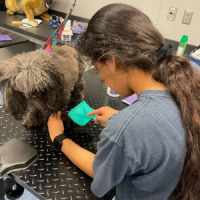 Advanced Pet Health & Grooming